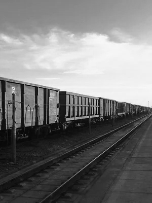Train rail